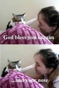 Cat blessing. And may the same be true for you!